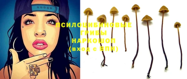 гидра Балабаново